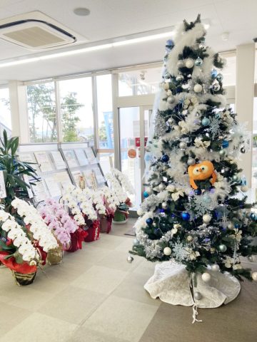地元シルシルさんとクリスマスの準備🍊