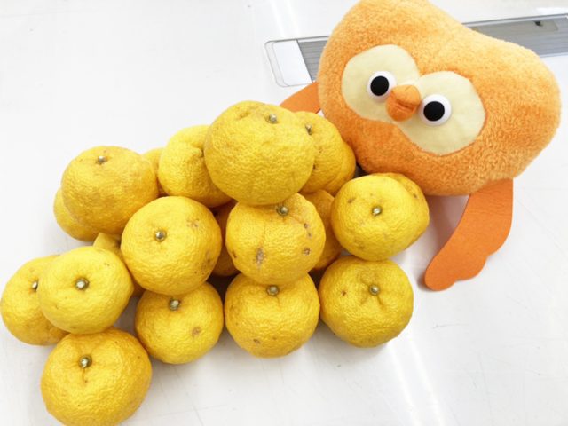 今日は冬至 * 柚子をたくさんいただきました