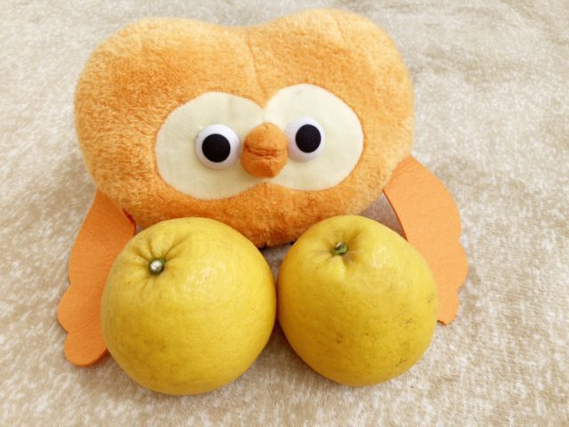 パートナー企業様から宇和ゴールドを頂きました♪