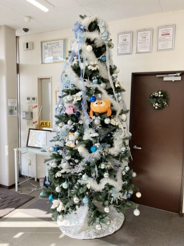 地元シルシルさんとクリスマスの準備