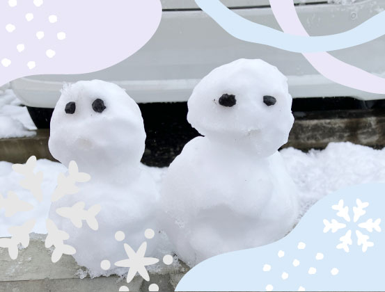 高崎市では珍しい雪⛄雪かきを行いました