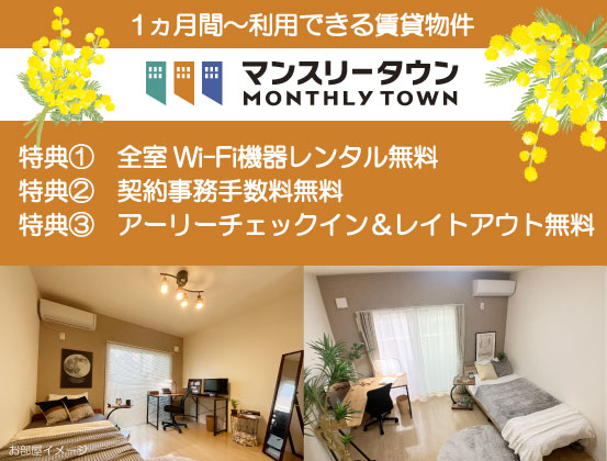 トウショウレックスの特典いっぱい♪マンスリーマンション